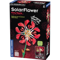 550067 RubyRipple 3Dbox Front