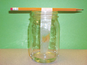 Candy Chromatography