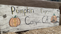 Pumpkin Express