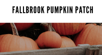 Fallbrook Pumpkin Patch