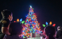 Chula Vista Tree Lighting