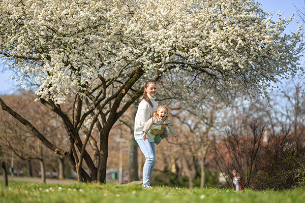 Fun Ways to Celebrate Spring in San Diego