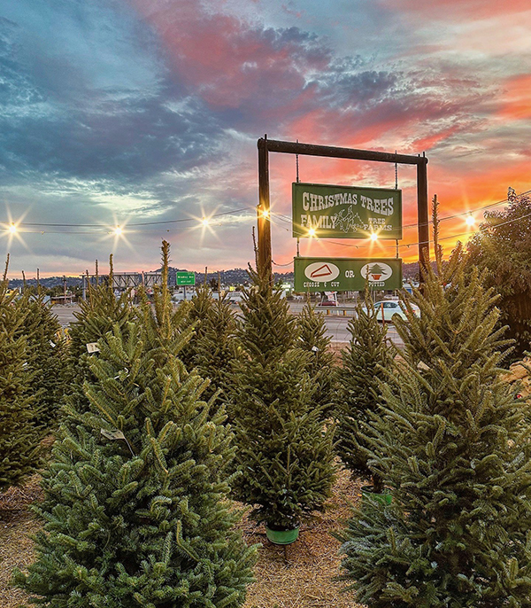 Family Tree Farm